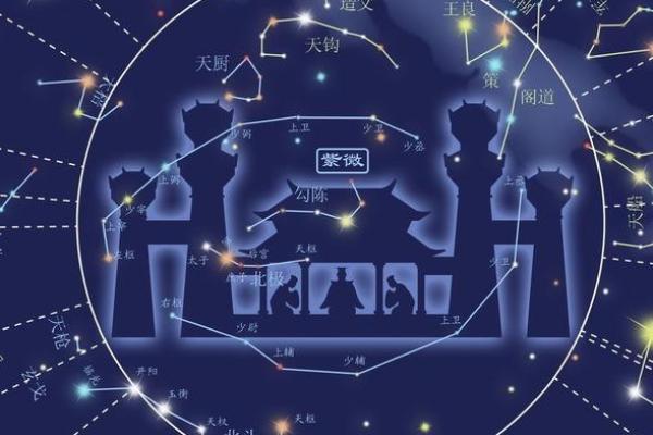 紫薇斗数男命命宫紫薇