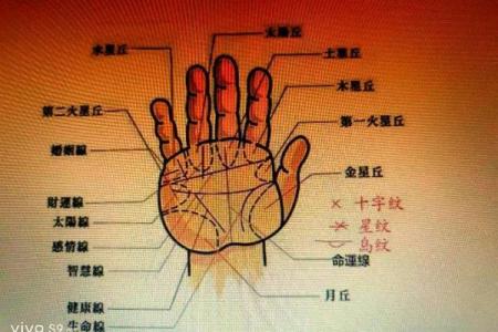 《手相学习百科》：手纹看退休