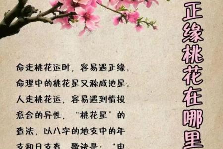 八字看未来伴侣性格及相貌,怎么自己看正缘