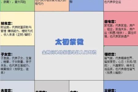 紫薇斗数代表小人