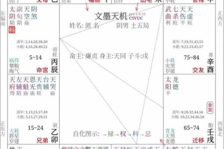 紫薇14主星之武曲和天同的意象和性质