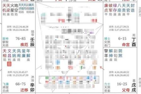 紫薇斗数无主星
