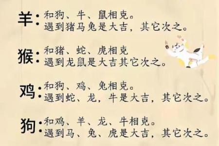 哪个属相夫妻配对好？这5对简直绝配，在一起就不会分开