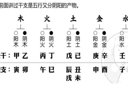 八字排盘-详解命运大趋势
