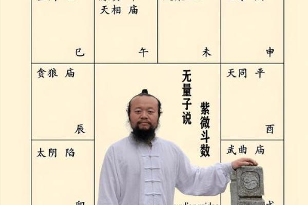 紫薇斗数的命主身主什么意思