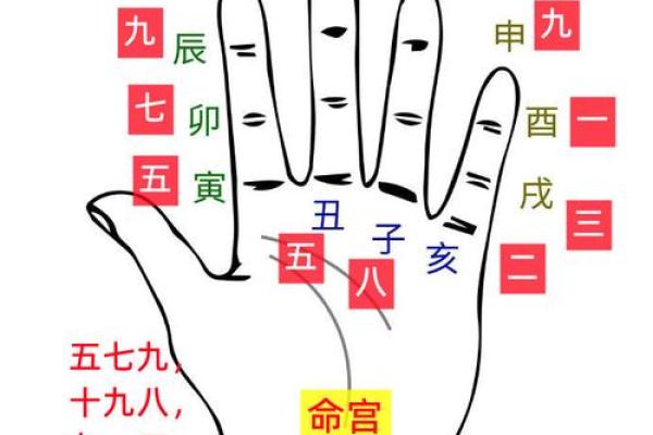 利用八字看子女运势如何