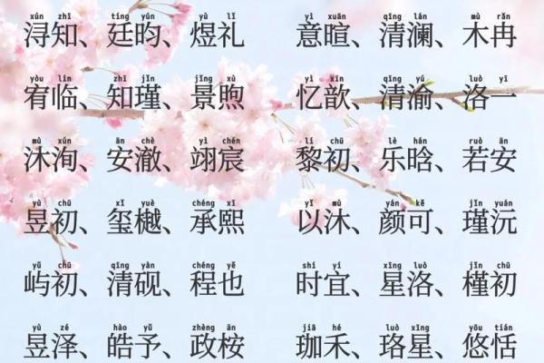 2019年3月16号丑时出生的男孩起名时要注意什么姓名