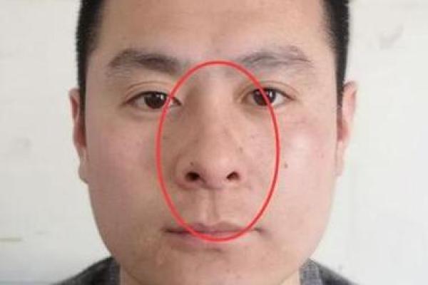 济缘算命：解读鼻子对命运的影响