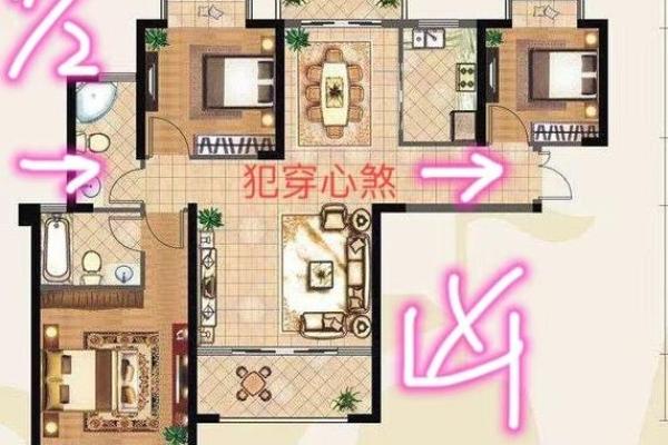房子风水与精神病