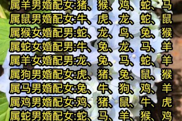 男猴女马生肖配对姻缘