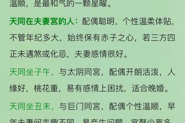 紫薇斗数夫妻宫带天府