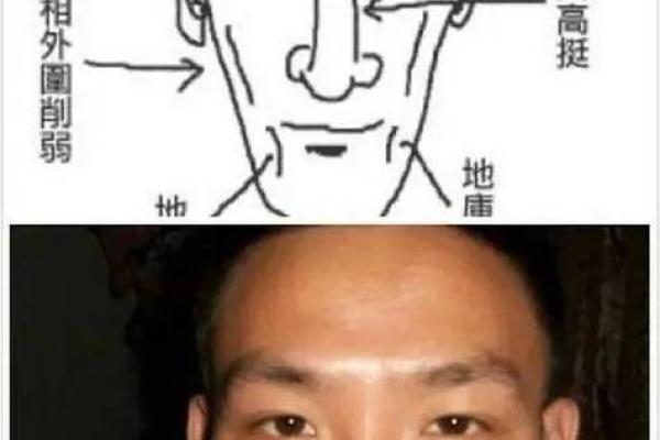 六害眉面相算命图解