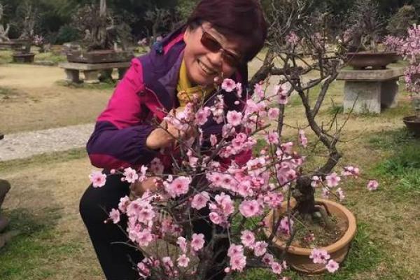 花树花枝算命