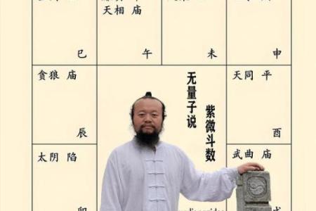 紫薇斗数的命主身主什么意思