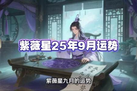 娱乐圈紫薇星