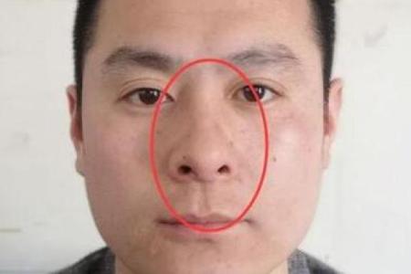 济缘算命：解读鼻子对命运的影响