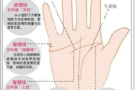 手相算命话语,手相算命说法