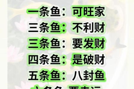 养风水鱼有什么讲究？