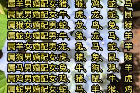 男猴女马生肖配对姻缘