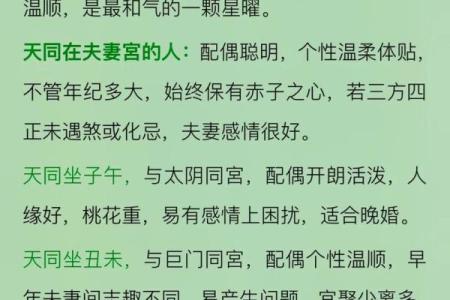 紫薇斗数夫妻宫带天府