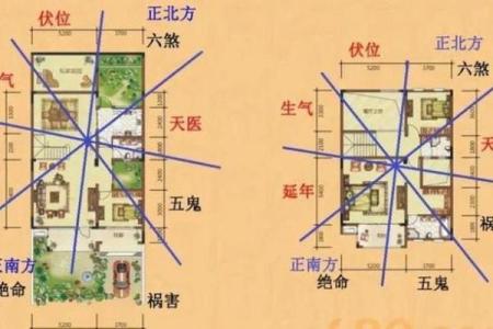 房子上能画条蛇吗风水