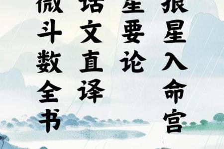 紫薇斗数全书陆