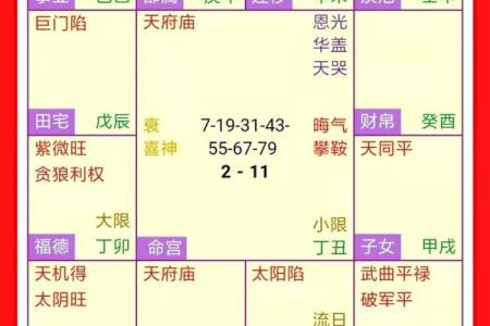 紫薇斗数预测疫情