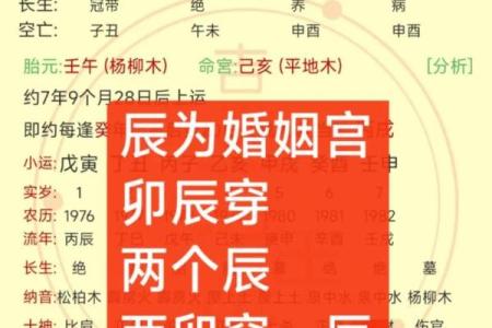 八字中绝