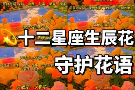 矜持星座女到底指的是哪些星座女生