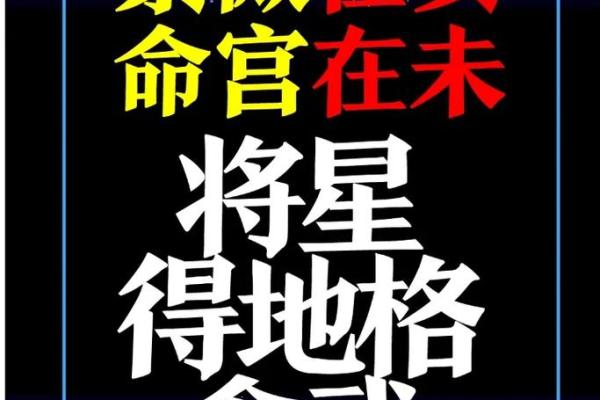 淄博紫微斗数 紫微斗数官网？