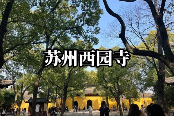 苏州西园寺罗汉灵签解签一览表