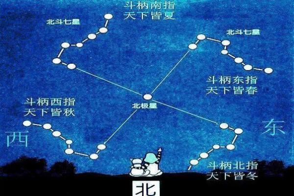 紫薇斗数天罗地网