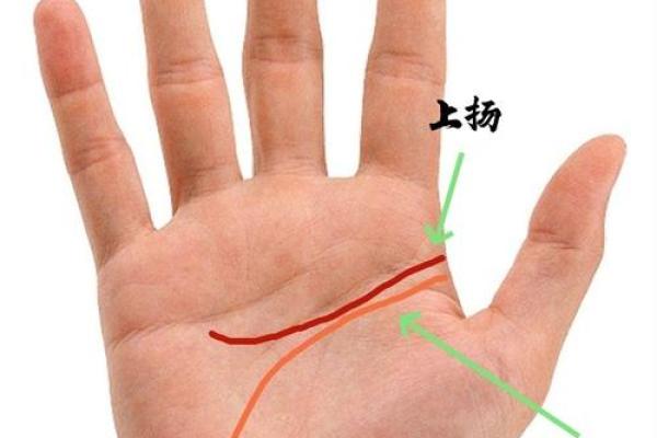 图解:手相中的智慧线算命 图解:手相中的智慧线算命