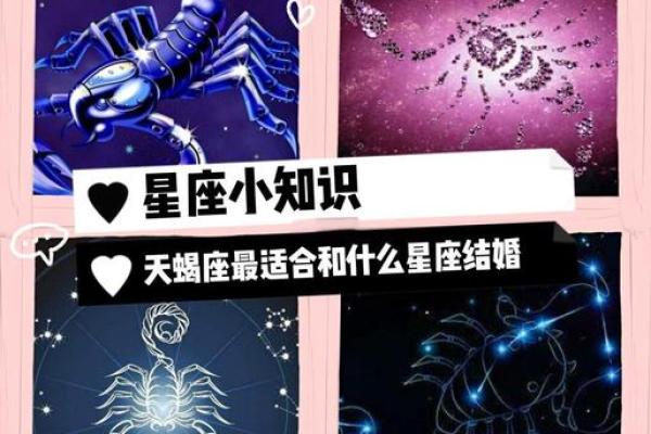 天蝎座更适合和哪个人配对呢