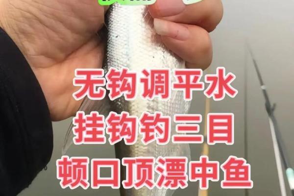 野钓，不调漂，就能让八字环刚触底，这是最适合野钓的状态