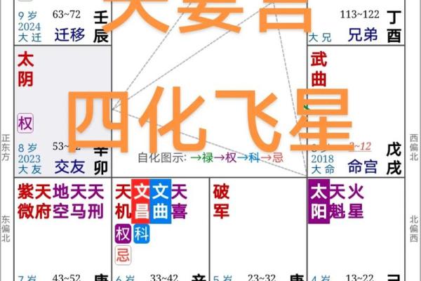 紫微斗数诸星落诸宫之：天府星兄弟宫详解