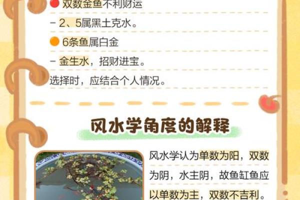 金鱼怎么养？养金鱼需要注意的风水