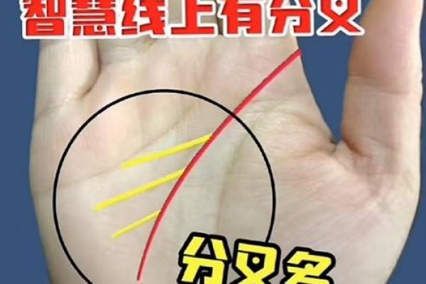 手相算命图解：3种手掌纹路看你是否能暴富，大富大贵享不尽