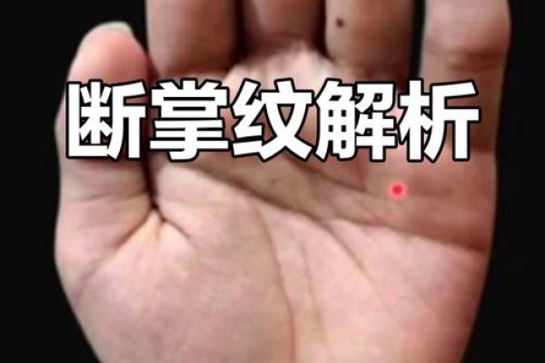 风水断掌的男人的命好不好