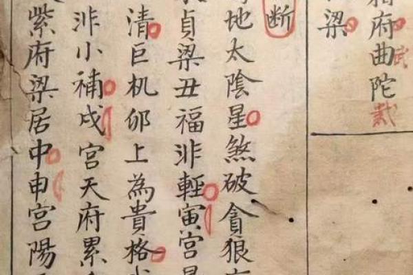 紫薇斗数安星排法