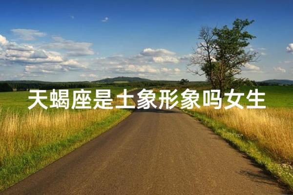 巨蟹和天蝎是土象星座吗