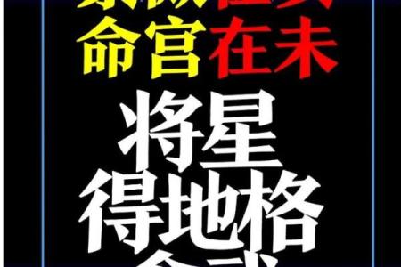 淄博紫微斗数 紫微斗数官网？