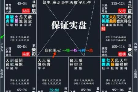 紫微斗数诸星落诸宫之：天府星迁移宫详解
