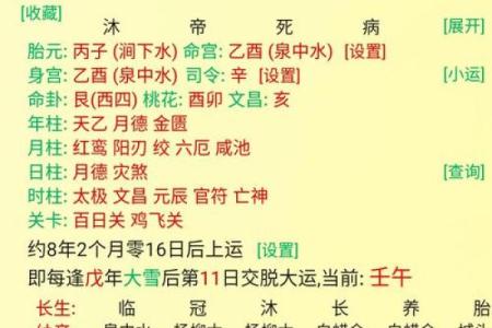 八字命理｜丙火天干特质深析