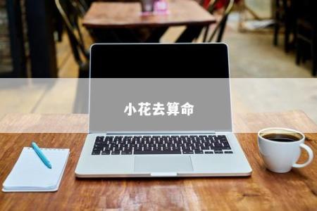 小花去算命