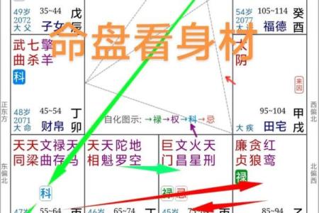 紫薇斗数紫薇疾厄