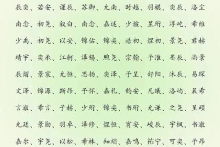 2019年3月9号子时出生的男孩应该起什么样的名字姓名