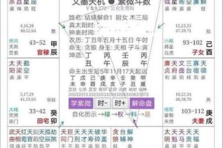 紫薇斗数查命宫