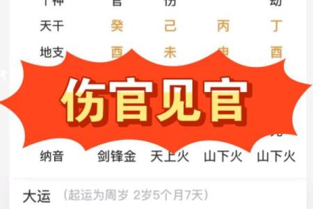用风水如何调和女命伤官见官的影响