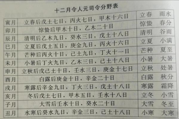 八字-人元（论地支遁藏即地支藏干）